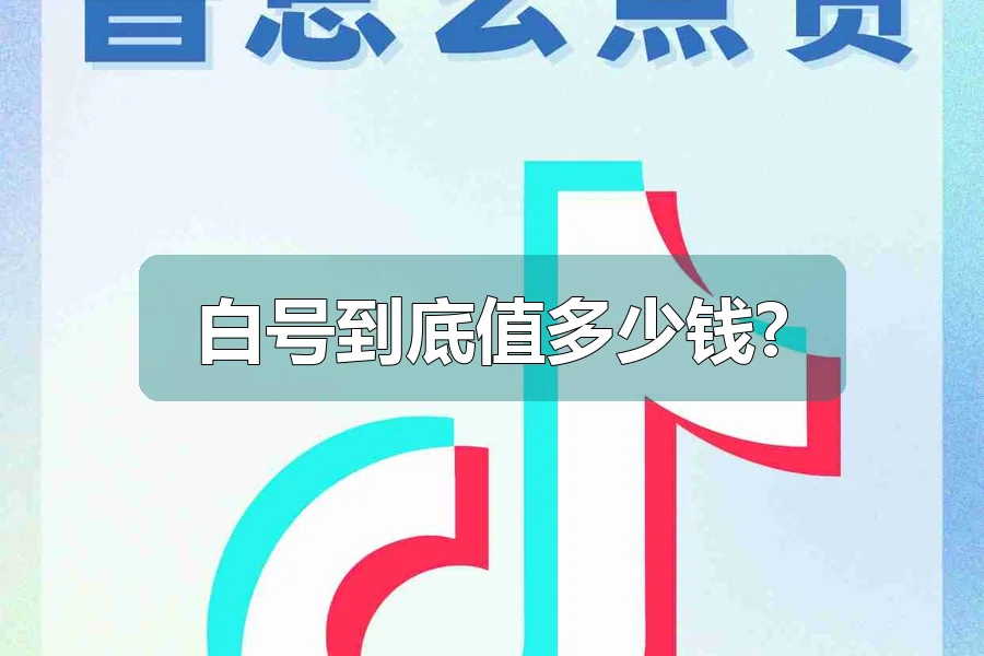 白号到底值多少钱?